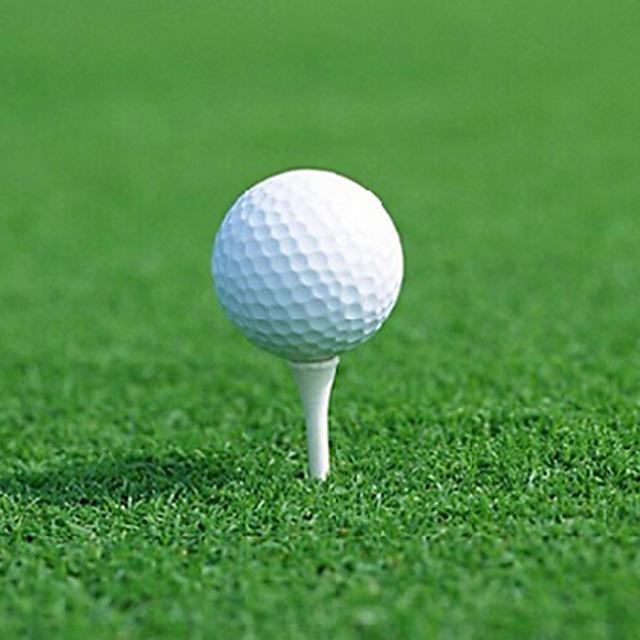 Plastic Golf Ball